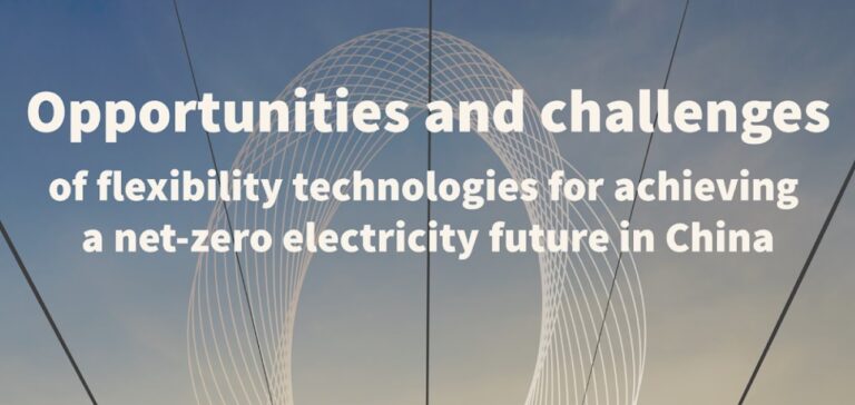 Opportunities and Challenges of Flexibility Technologies for a Net-Zero Electricity Future in China